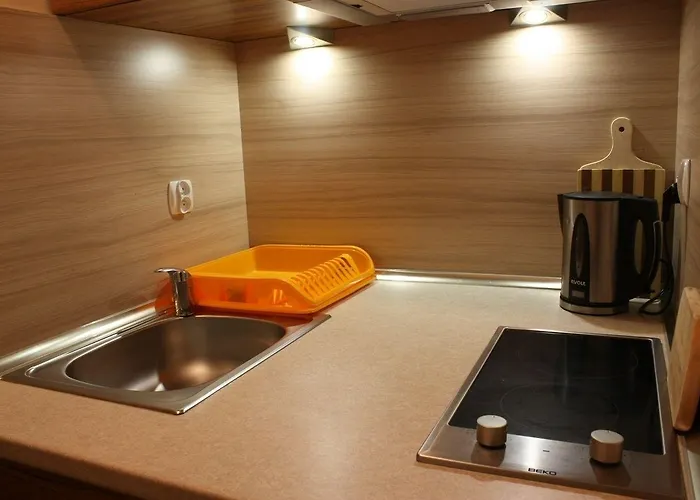 度假居 琥珀别墅酒店 *