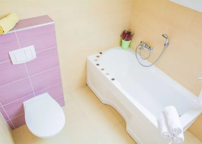 度假居 琥珀别墅酒店 *