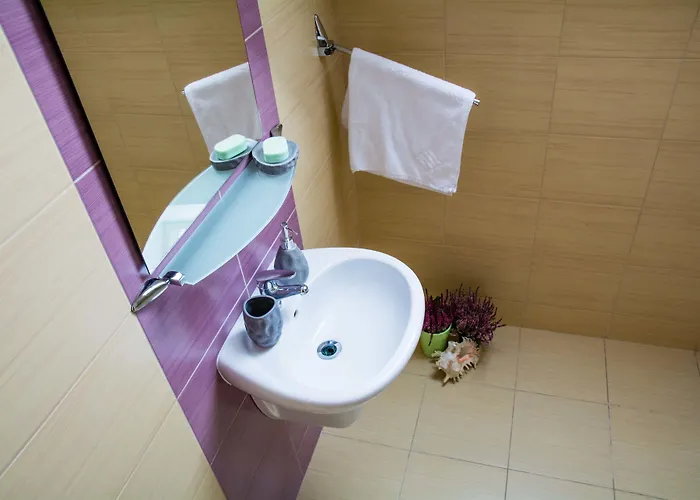 琥珀别墅酒店 度假居 *